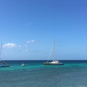 Meet your Posher, Veronika